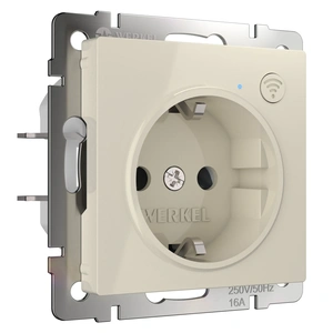 Изображение Умная встраиваемая розетка с заземлением с защитными шторками W1171603