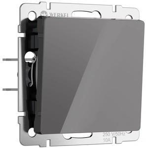 Изображение Выключатель одноклавишный (графит акрил) W1110044